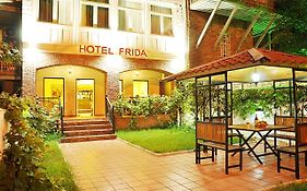 Hotel Frida